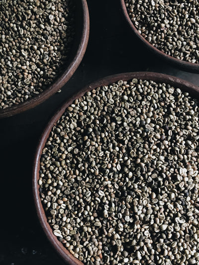 Ethiopia: A Guide to My Favorite Coffee Origin